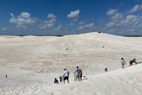 Pinnacles Day Trip From Perth Including Yanchep National Park - Dalby Accommodation 2