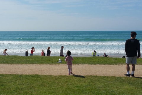 Surf Tour And Lesson - Dalby Accommodation 0