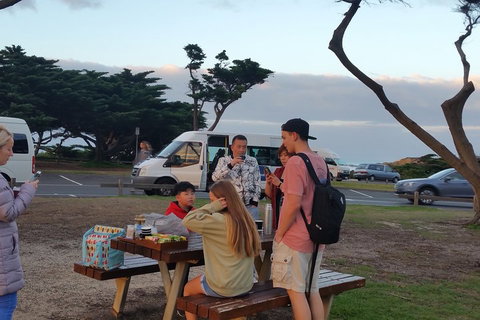 Surf Tour And Lesson - Dalby Accommodation 2