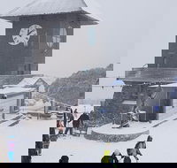 Mt Buller Day Trip from Melbourne - Dalby Accommodation