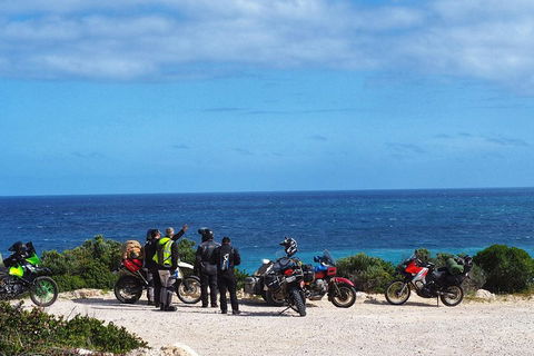 3 Days Flerieu Peninsula And Kangaroo Island Motorcycle Tour - Dalby Accommodation 3