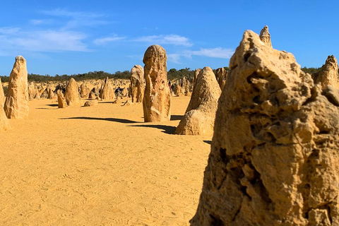 Pinnacles Desert (Private) Day Tour - Dalby Accommodation 0