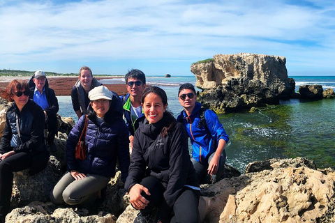 Pinnacles Desert (Private) Day Tour - Dalby Accommodation 4