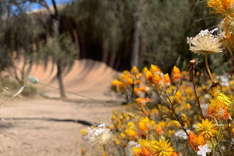 The Big Wave Rock (Private) Day Tour - Dalby Accommodation 3