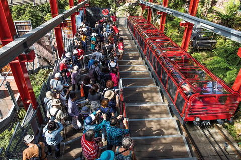 Private Guided Tour: Blue Mountains Tour From Sydney - Dalby Accommodation 1