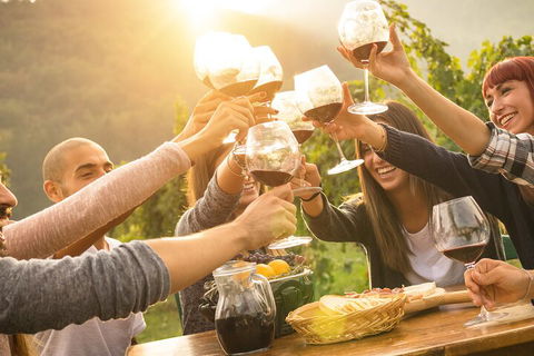 Yarra Valley, Dandenong Ranges Inc. Lunch With Wine,plus Morning Tea,chocolate - Dalby Accommodation 4