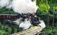 Puffing Billy And Healesville Sanctuary Scenic Tour - thumb 1
