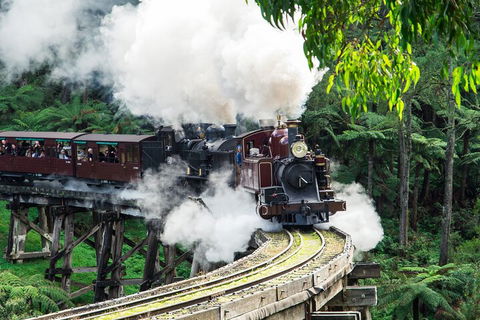 Puffing Billy And Healesville Sanctuary Scenic Tour - Dalby Accommodation 1
