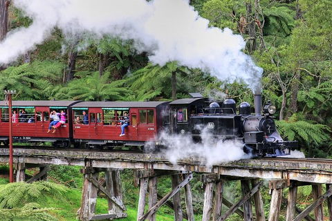 Puffing Billy And Healesville Sanctuary Scenic Tour - Dalby Accommodation 2