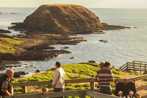 Healesville Sanctuary And Phillip Island Wildlife Bus Tour - Dalby Accommodation 3