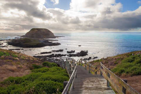 Healesville Sanctuary And Phillip Island Wildlife Bus Tour - Dalby Accommodation 5