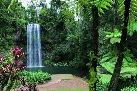 Paronella Park And Millaa Millaa Falls Full-day Tour From Cairns - Dalby Accommodation 3