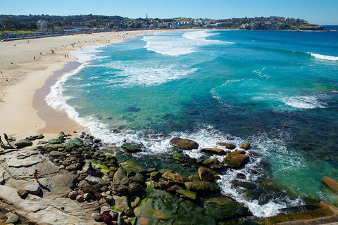 Private Sydney Foreshores And Beaches SUV Tour - Dalby Accommodation 0