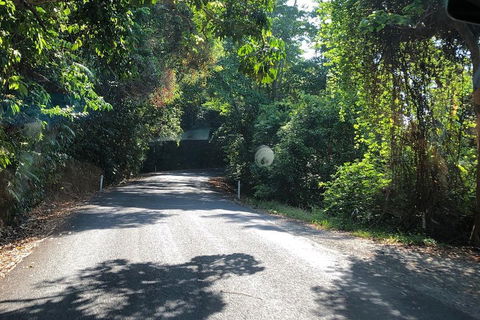 Cairns To Cooktown 4WD Tour - Dalby Accommodation 0