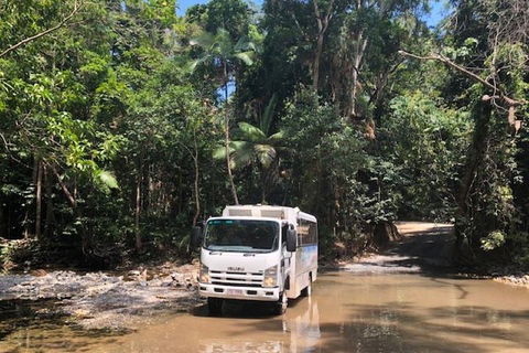 Cairns To Cooktown 4WD Tour - Dalby Accommodation 5