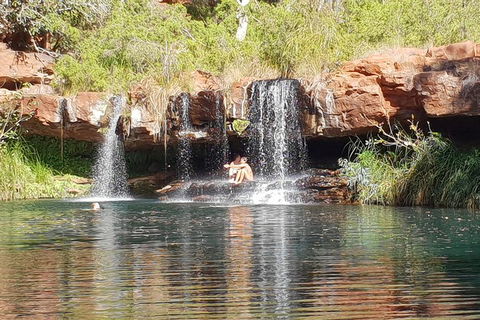 9 Day Perth To Broome Adventure - Dalby Accommodation 2