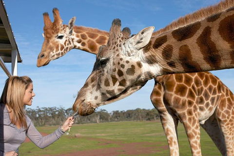 Melbourne City Card (2 Days): Visit Unlimited Attractions! - Dalby Accommodation 1