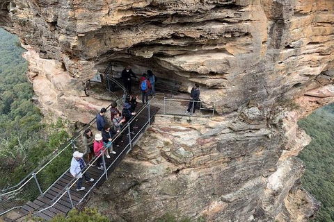 PJ Blue Mountains Supreme Day Tour - Dalby Accommodation 0