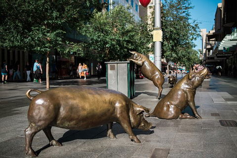 Guided Walking Tour In Adelaide - Dalby Accommodation 4