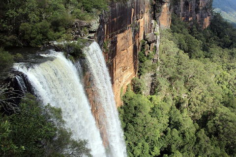 Private Southern Highlands Day Trip From Sydney Including Fitzroy Falls - Dalby Accommodation 1