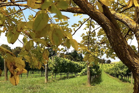 Private Southern Highlands Day Trip From Sydney Including Fitzroy Falls - Dalby Accommodation 5