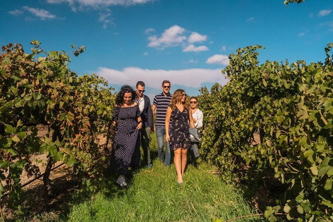 Barossa Valley Private Tour (from 2 To 11 People) - Dalby Accommodation 0