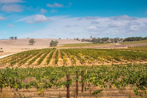 Barossa Valley Private Tour (from 2 To 11 People) - Dalby Accommodation 2