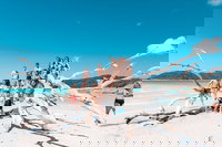 4 Day  3 Night Whitsunday Islands  Outer Reef Sailing Adventure on Condor, Airlie Beach