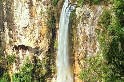 Natural Arch, Rainforest & Volcano Canyon - Private Half Day Tour - Dalby Accommodation 2