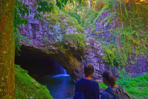 Natural Arch, Rainforest & Volcano Canyon - Private Half Day Tour - Dalby Accommodation 4