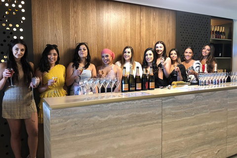 Yarra Valley Public Winery Tours - Dalby Accommodation 0