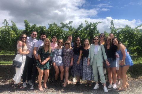 Yarra Valley Public Winery Tours - Dalby Accommodation 3