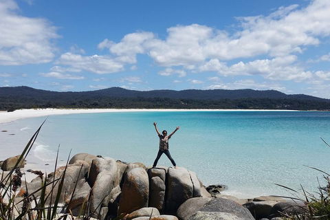 Tasmania 4 Day East Coast + Launceston - Dalby Accommodation 1