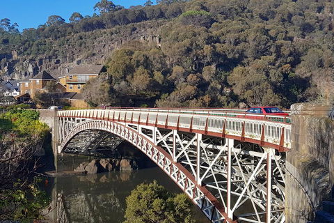 Tasmania 4 Day East Coast + Launceston - Dalby Accommodation 5