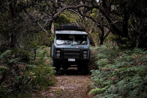 Phillip Island And French Island Wildlife Expedition - Dalby Accommodation 4