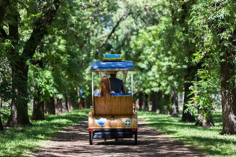 Adelaide 90-Minute Pedicab Tour: Scenic Green & River Experience - Dalby Accommodation 2