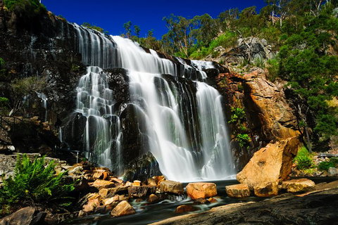 4 Day Group Camping Tour - Visit Grampians, Great Ocean Road And 12 Apostles - Dalby Accommodation 5