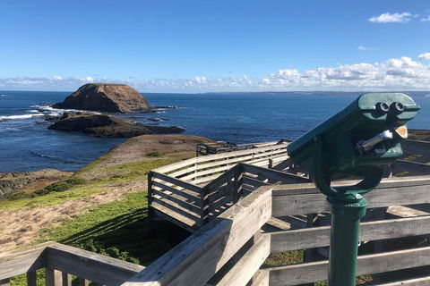 Private Phillip Island Tour - Dalby Accommodation 4