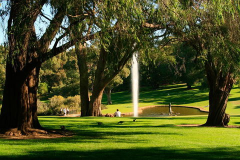 Highlights Of Perth Photographic Tour - Dalby Accommodation 4