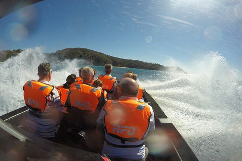 Noosa Thriller - 500hp Ocean Adventure Ride - Dalby Accommodation 3