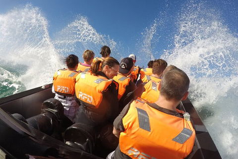 Noosa Thriller - 500hp Ocean Adventure Ride - Dalby Accommodation 4