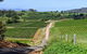 The Complete Hunter Valley Wine Tour Of Pokolbin, Mt View, Lovedale And Rothbury - thumb 0
