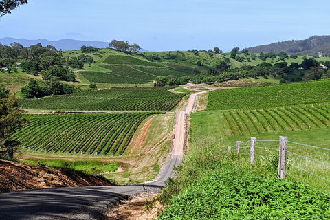 The Complete Hunter Valley Wine Tour Of Pokolbin, Mt View, Lovedale And Rothbury - Dalby Accommodation 0