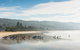 LGBT+ Friendly 12-Hour Great Ocean Road Private Tour - thumb 2