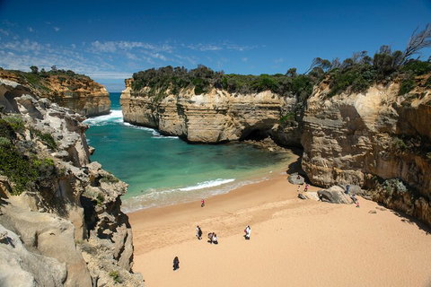 LGBT+ Friendly 12-Hour Great Ocean Road Private Tour - Dalby Accommodation 5