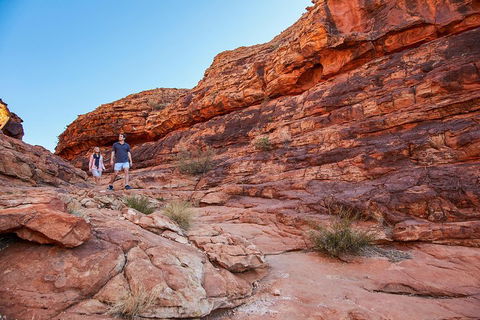 Kings Canyon Guided Rim Walk - Dalby Accommodation 0