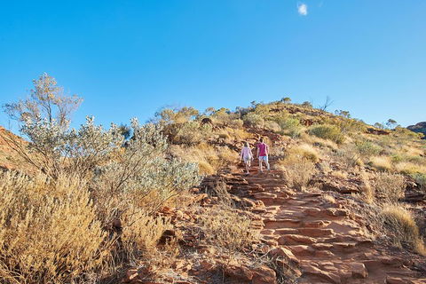 Kings Canyon Guided Rim Walk - Dalby Accommodation 1