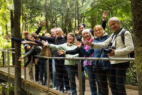 All Inclusive Blue Mountains Small-Group Day Trip From Sydney - Dalby Accommodation 5