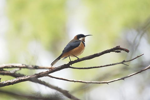 Private Blue Mountains Insider Tour From Sydney - Dalby Accommodation 2