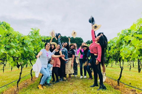 Mt Tamborine Full Day Wine Tour - Dalby Accommodation 4